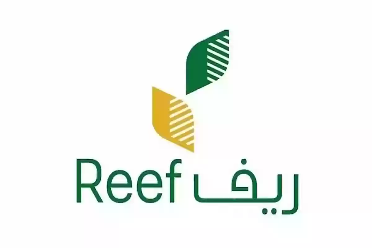 خطوات الاستعلام عن دعم ريف reef.gov.sa برابط مباشر