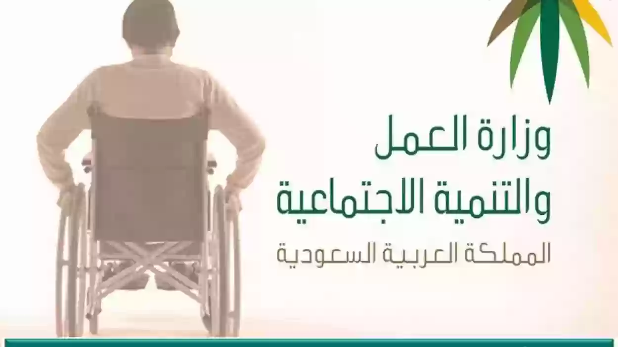 الفئات المستفيدة من التأهيل الشامل