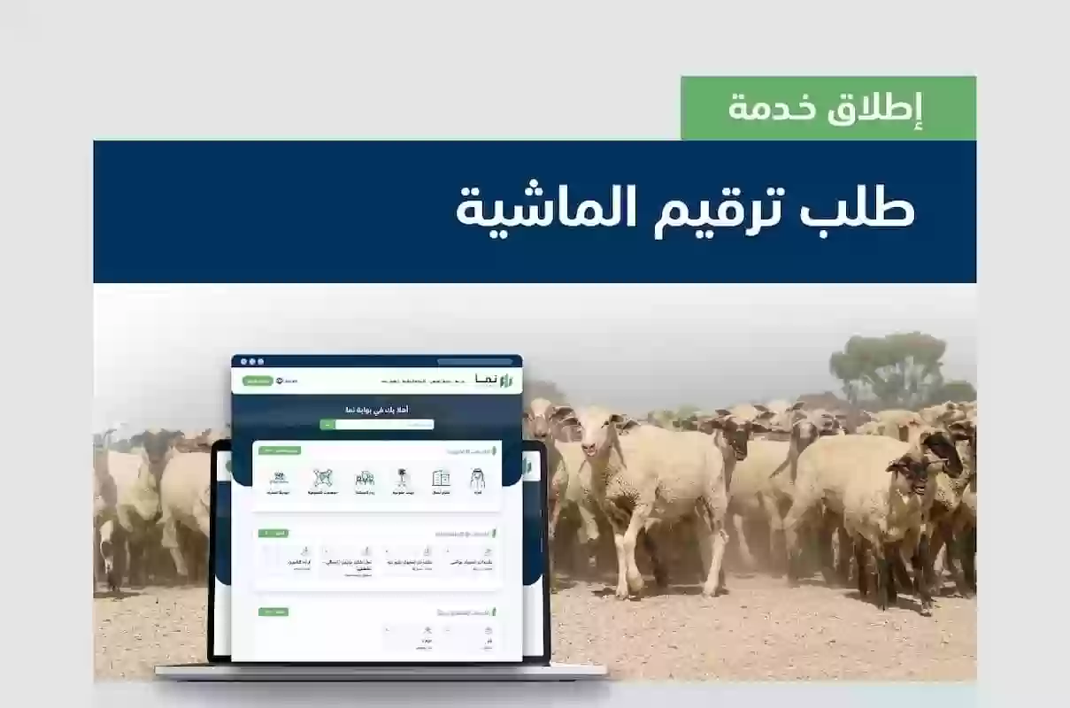 تقديم طلب ترقيم الماشية