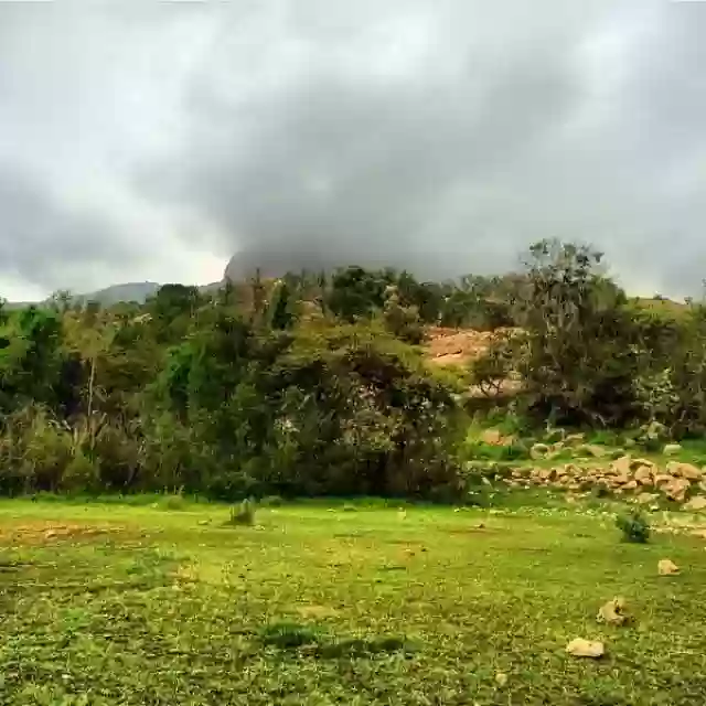 متنزه الشرف بتنومة لعشاق الطبيعة والمغامرات